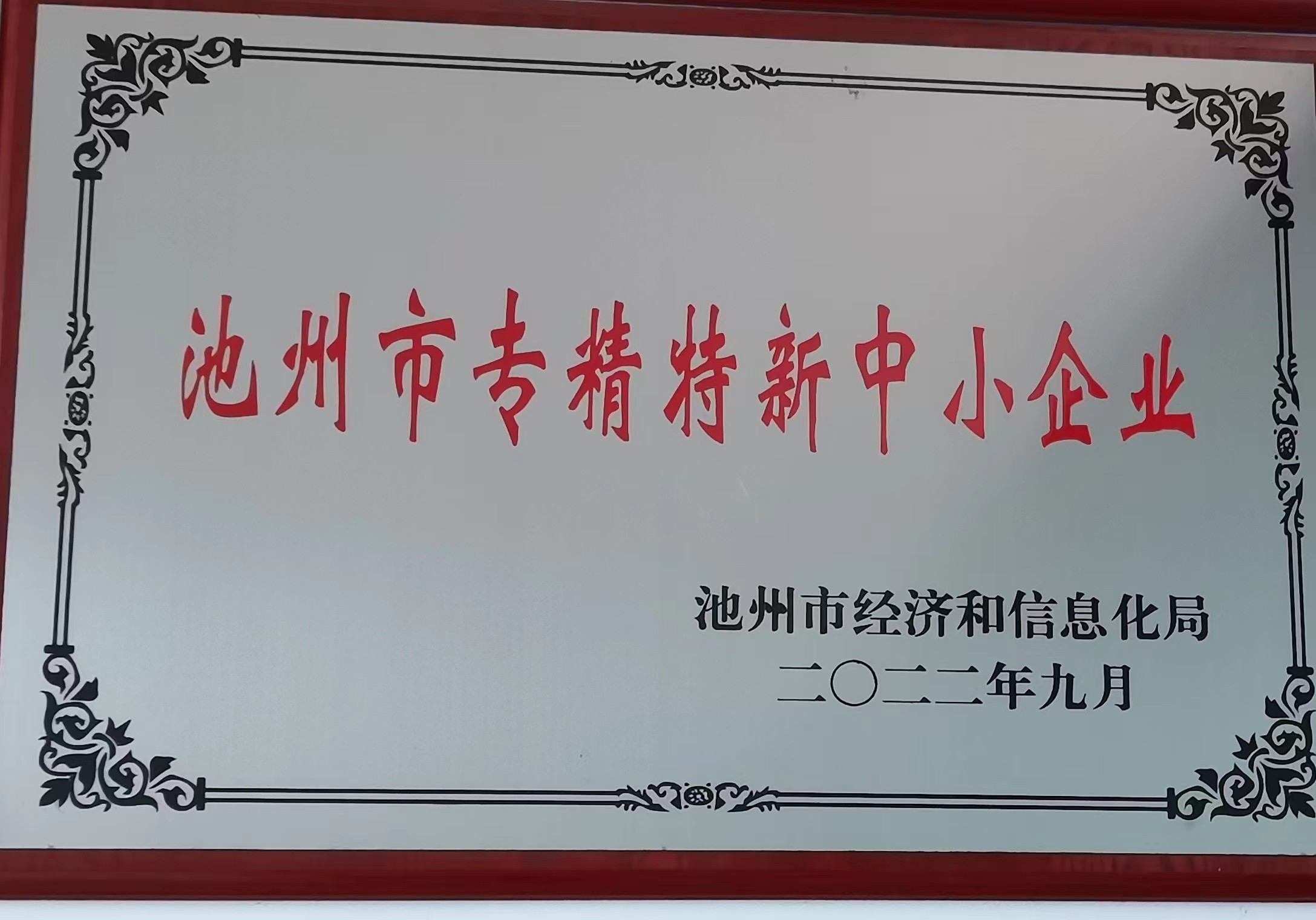 池州市专精特新中小企业